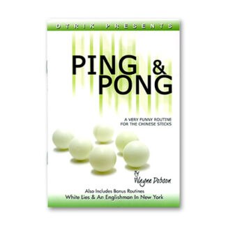 Ping Pong van Wayne Dobson (boek)