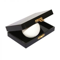 Impossible case (met golf bal)