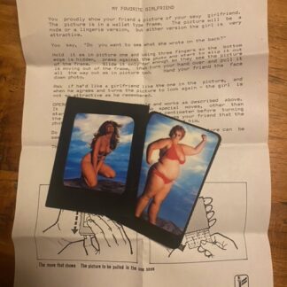 My Favorite Girlfriend