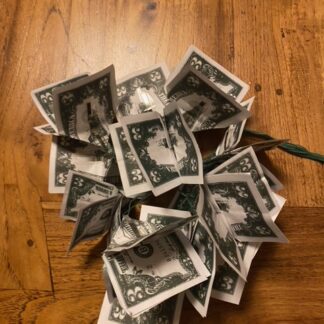 SPRING DOLLAR (spring bill)