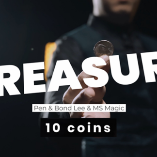 Treasure (10 coin holder) by Pen & MS Magic